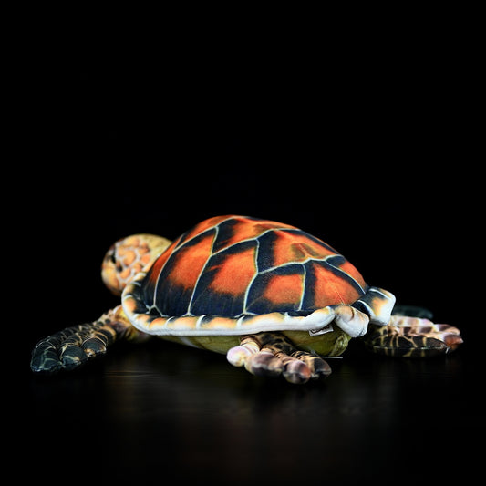 Cute Turtle Dolls Plush Toys