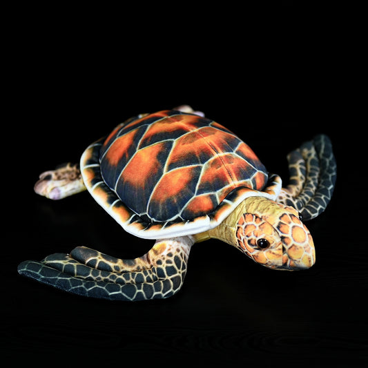 Cute Turtle Dolls Plush Toys